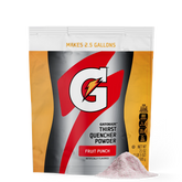 Gatorade Thirst Quencher - Fruit Punch