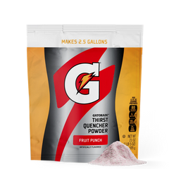Gatorade Thirst Quencher - Fruit Punch