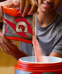 Gatorade Thirst Quencher - Fruit Punch