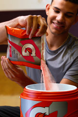 Gatorade Thirst Quencher - Fruit Punch
