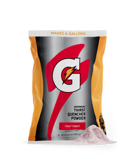 Gatorade Thirst Quencher - Fruit Punch