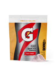 Gatorade Thirst Quencher - Fruit Punch