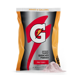 Gatorade Thirst Quencher - Fruit Punch