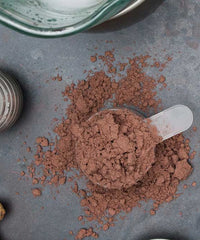Muscle Milk Genuine - Chocolate